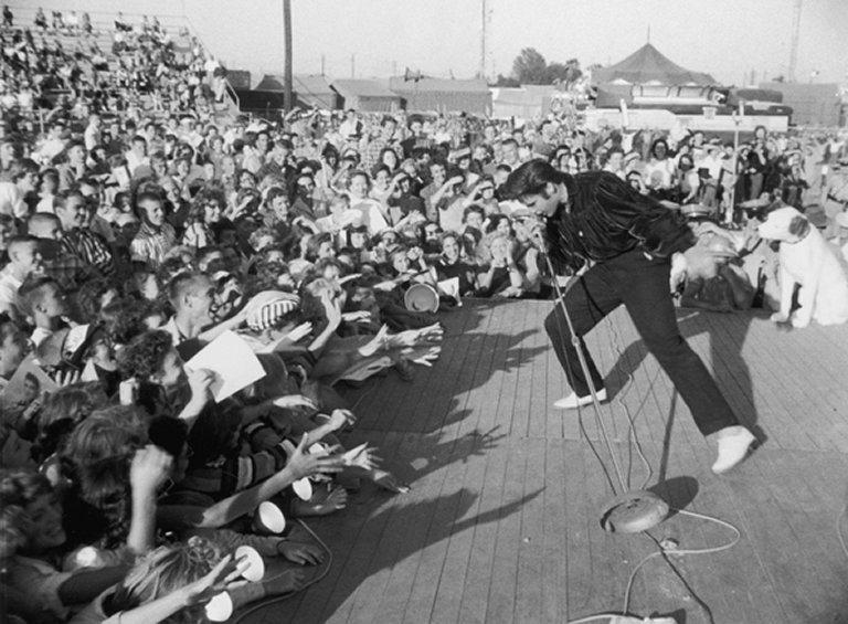 Résultat de recherche d'images pour "nipper and elvis mississippi alabama and dairy show 1956"